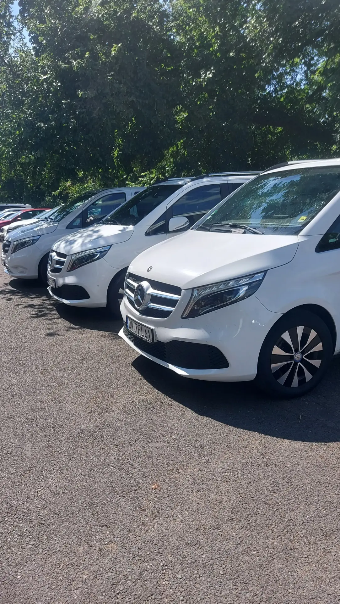 Parking firmy Total, a na nim kilka samochodów marki Mercedes